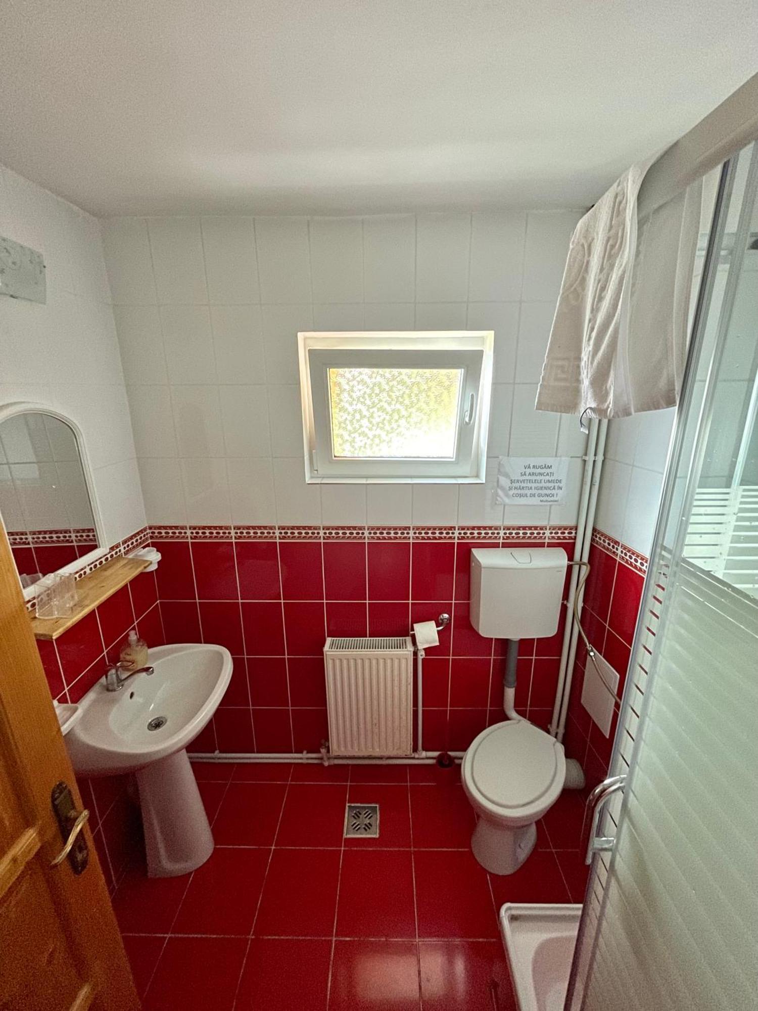 Casa De Vacanta Trei Brazi Ranca Luaran gambar